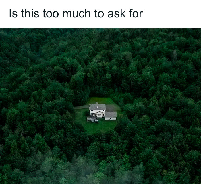 House surrounded by dense forest symbolizing introvert struggles and desire for solitude.