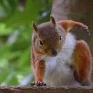 katarinabozikova avatar