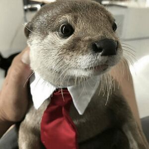 mia-mcdermott avatar