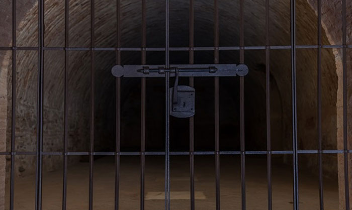 "Hoy aprendí": 25 Nuevos datos que despertarán tu curiosidad