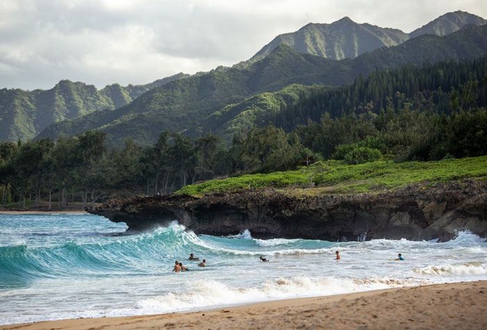 "Hoy aprendí": 25 Nuevos datos que despertarán tu curiosidad