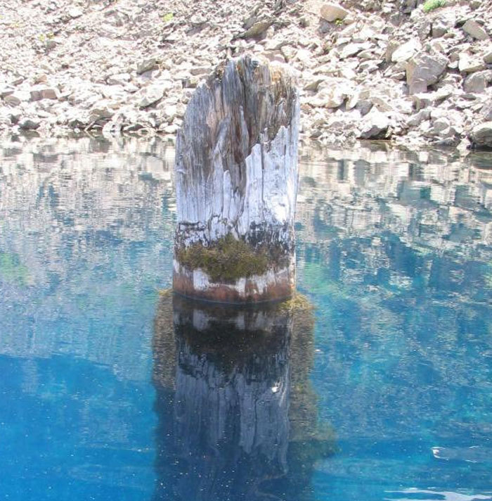 30 ‘Today I Learned’ Facts To Spark Your Curiosity (New Pics)