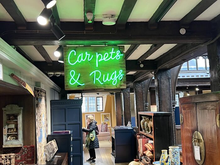 Car Pets Are The Best Pets