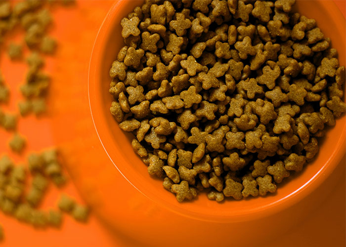 "They Eventually Stopped Answering My Calls And Blocked Me": 'Lifetime Supply' Winners Are Sharing How Things Are Working Out For Them