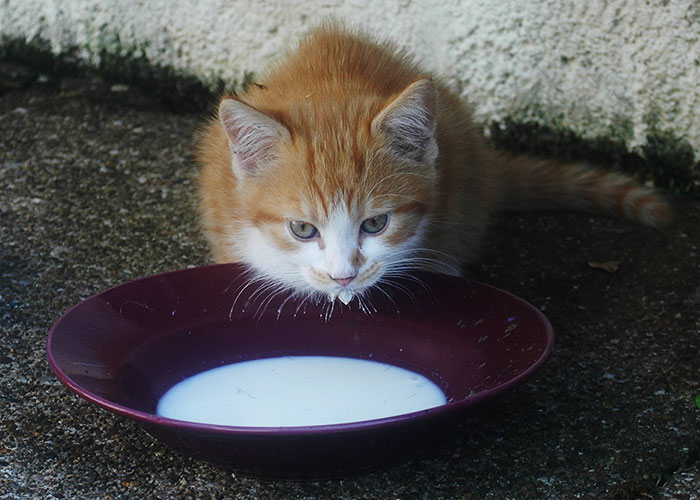 30 On-The-Nose Facts That Many Of Us May Feel Stupid For Not Realizing Earlier