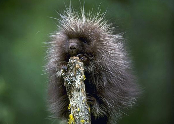 30 On-The-Nose Facts That Many Of Us May Feel Stupid For Not Realizing Earlier