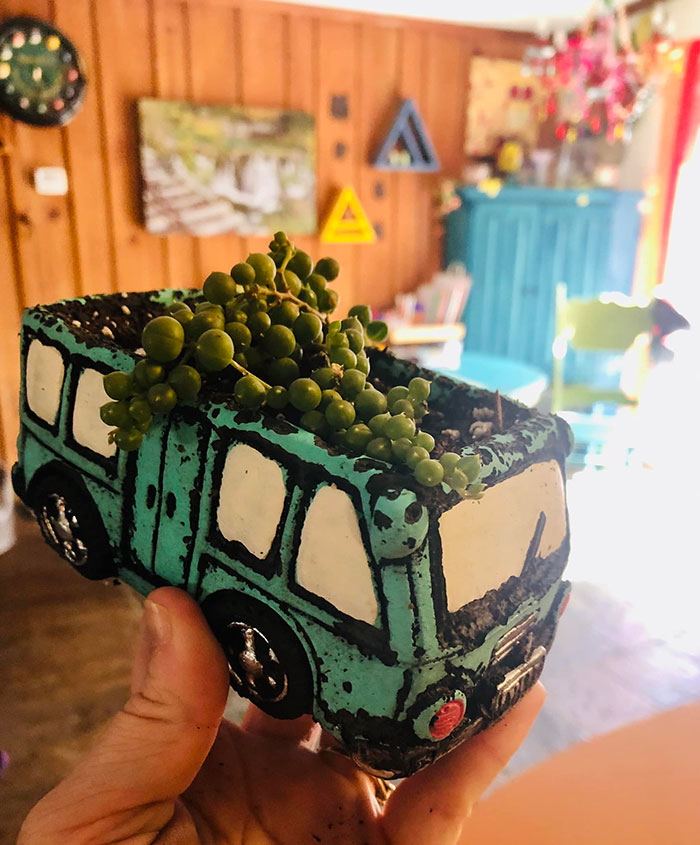 Maximalist-Design-Decor