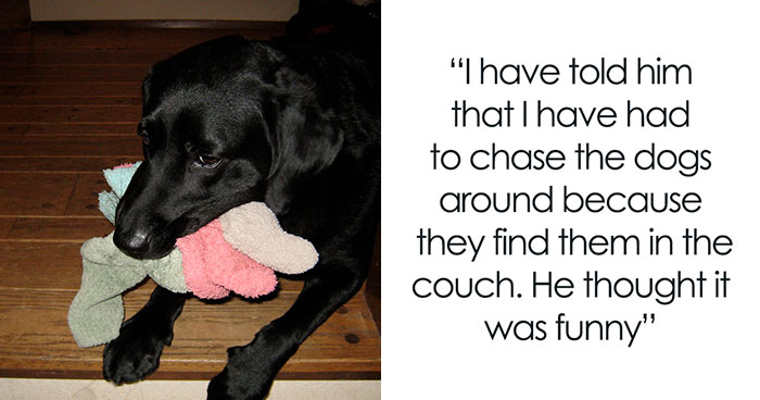 Guy Gets Tired Of His Boyfriend’s Socks Being Scattered All Over Their Home, “Unionizes” With Their Dogs Against Him