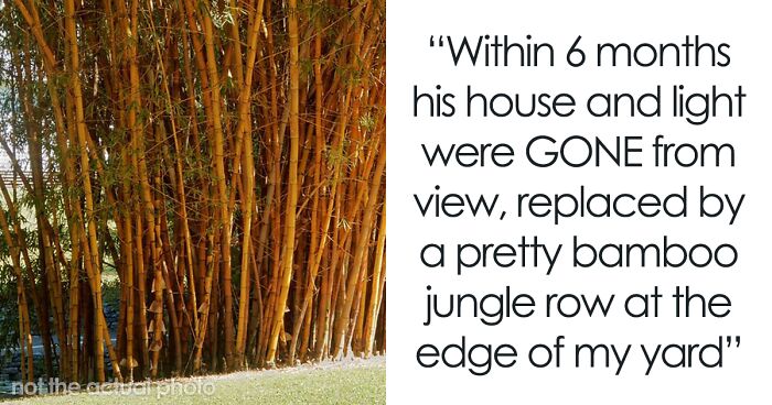 “I Quickly Discovered Running Bamboo”: Homeowner Takes Revenge On Inconsiderate Neighbor Refusing To Shift His Security Light