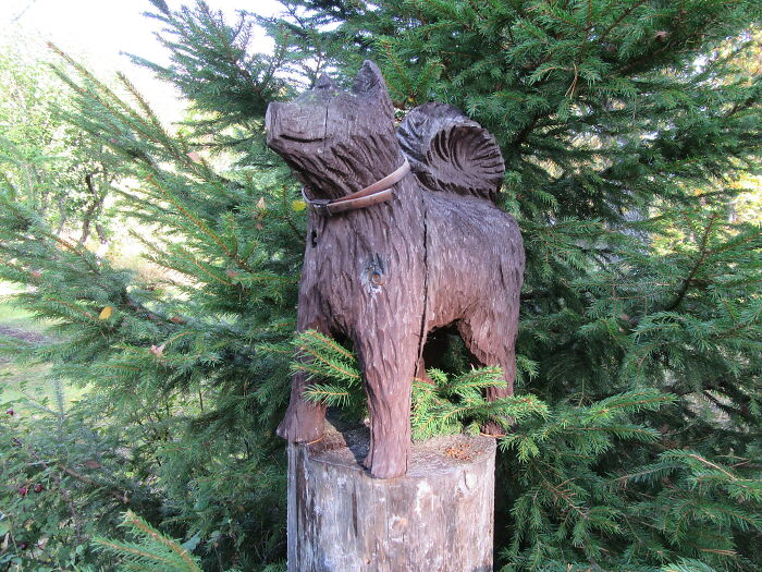 Old Wooden Dog With #31 Working With My Hands