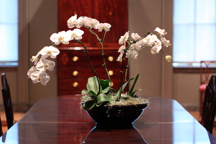 Therapist Explains The Science Behind The &lsquo;Orchid Vs. Dandelion&rsquo; Theory, Goes Viral On TikTok