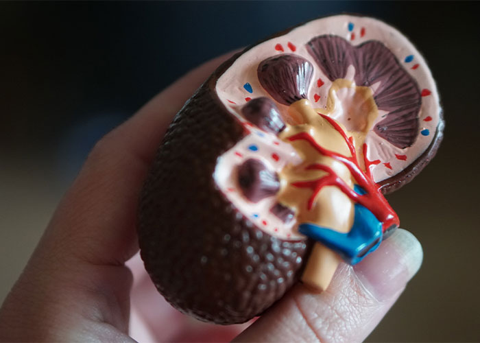 "My Feet Look More Like Paws Than Human Feet": 35 People Confess What Body Anomalies They Have