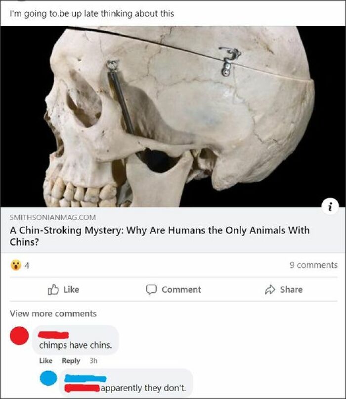 People-Incorrectly-Correcting-Other-People