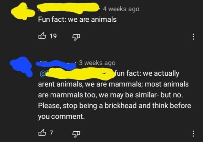 People-Incorrectly-Correcting-Other-People