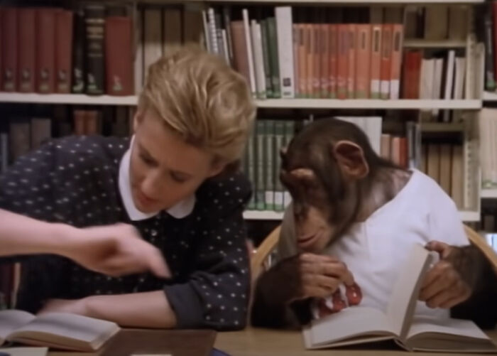 "Head Over Heels" By Tears For Fears