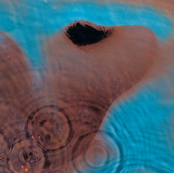 "Echoes" By Pink Floyd