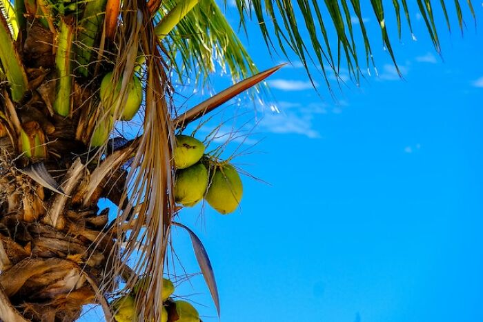 30 “Unfun” Facts That Are Both Fascinating And Terrifying