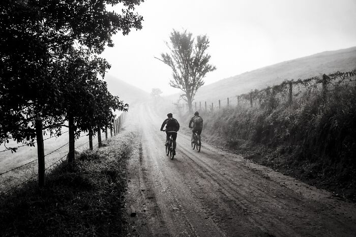 People Cycling In The Mist 