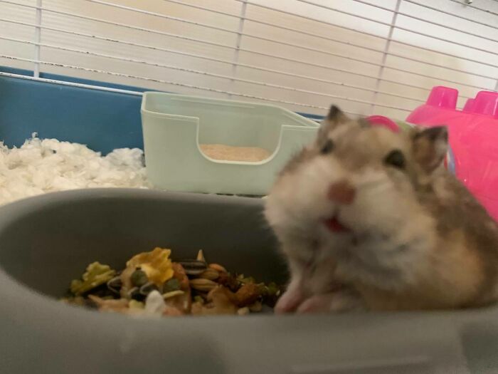 "Watch It"....seems Like I Invaded Someone's Territory