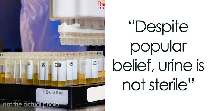 Someone Asks “What Is A Popular Belief That Has Been Scientifically Proven Wrong?” And People Deliver 30 Illuminating Responses