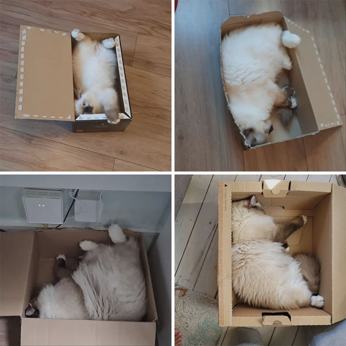 Having To Upgrade My Boxes