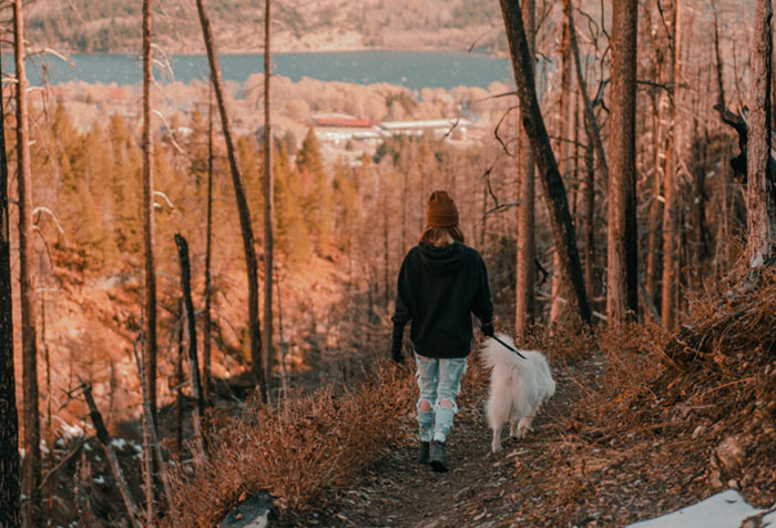 “She Never Barks And Is The Best Hiking Buddy Ever”: Guy Has Had His Friend’s Dog For 2.5 Years When Friend Asks Him To Ship Her Back, Guy Refuses
