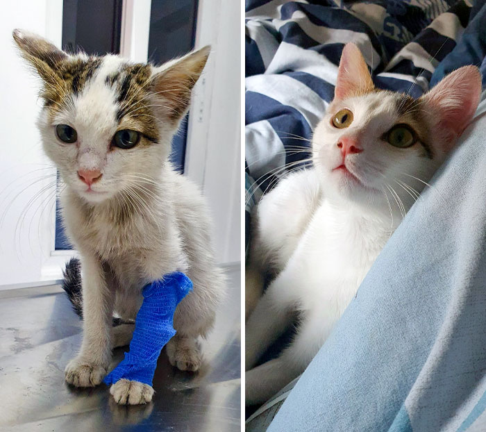 I Found Him On My Way To Work And Couldn't Leave Him. He's So Handsome