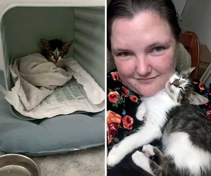 Hermes Was Eating Discarded Fast Food When I Found Him. I Could Feel All His Ribs, Hip Bones, And Sternum Through His Thin Skin. Now He Has A Nice Round Little Milk Belly