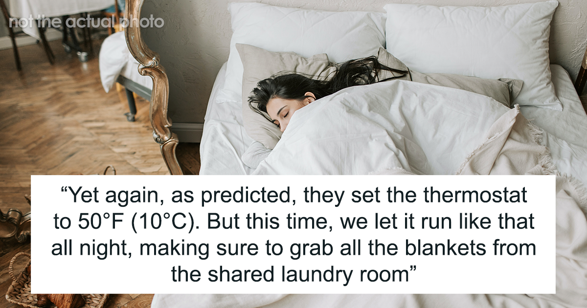 Person Is Sick And Tired Of Roommates Setting The Thermostat To Extreme Temperatures, Decides To Teach Them A Lesson