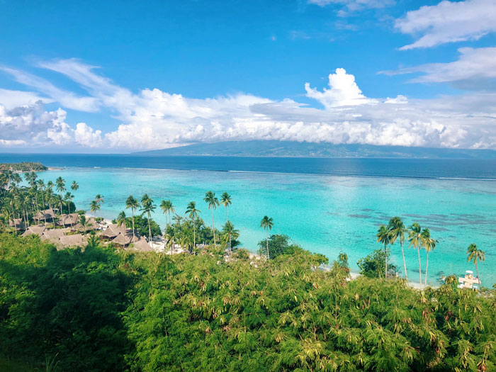 South Pacific Ocean and palms trees 