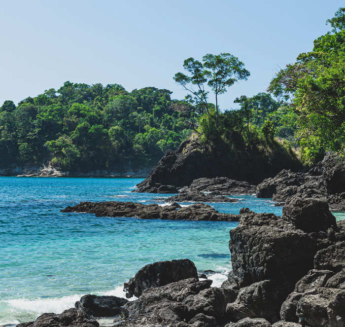 Rocky shore and the ocean 