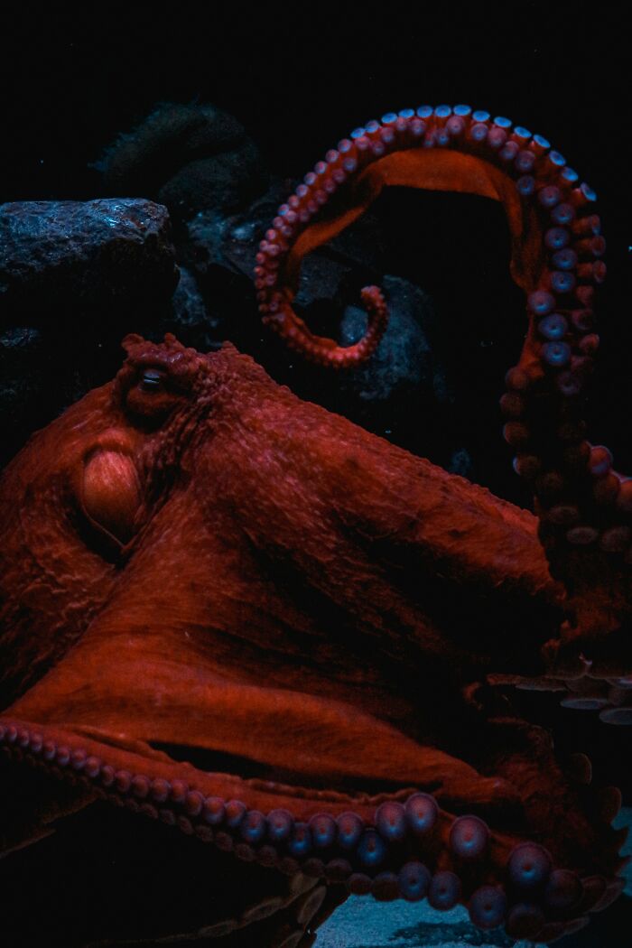 Someone Asks Sailors Or People Who Work At Sea "What's The Most Creepy Or Most Amazing Sight You Witnessed?" And 30 Deliver