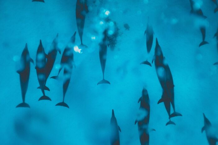 Someone Asks Sailors Or People Who Work At Sea "What's The Most Creepy Or Most Amazing Sight You Witnessed?" And 30 Deliver