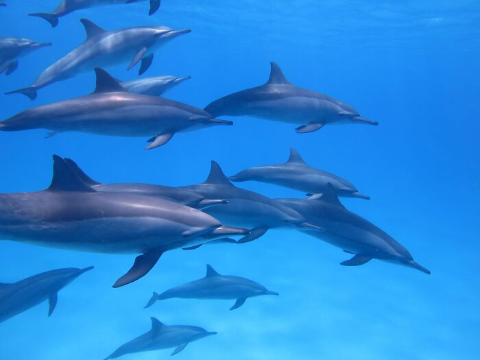Someone Asks Sailors Or People Who Work At Sea "What's The Most Creepy Or Most Amazing Sight You Witnessed?" And 30 Deliver