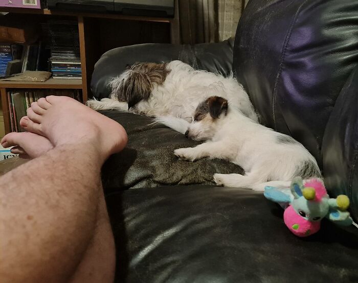 Please Ignore The Dust