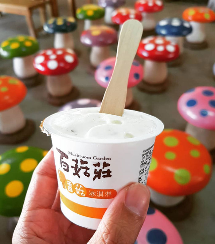 Ice cream in the cup with wooden spoon 