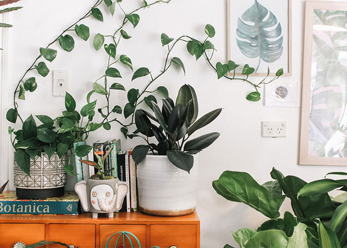 "What Is Something That Is Super Cheap, But Vastly Improves Your Quality Of Life?" (30 Answers)