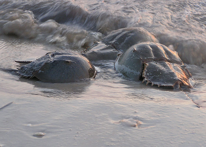 30 Estudiantes que merecen sobresaliente por su sentido del humor, según sus profesores