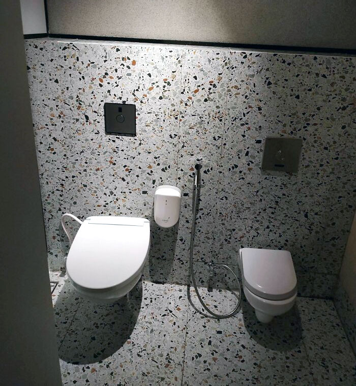 2-In-1 Toilet For Parents And Kids. Bonus Bidet