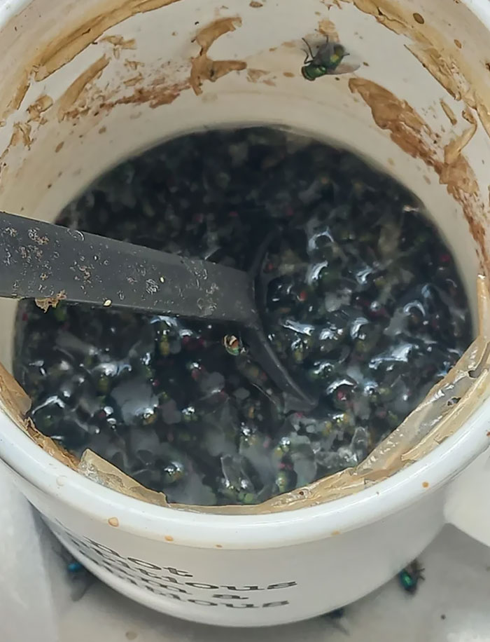 Got Back To The Office After December Leave And Came Upon This Delightful Brew