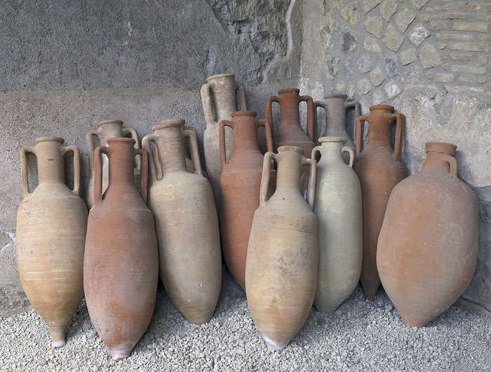 "Hoy aprendí" :35 datos fascinantes que la gente no aprendió en el colegio