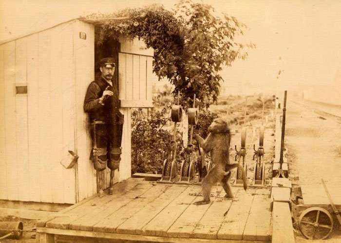 "Hoy aprendí" :35 datos fascinantes que la gente no aprendió en el colegio