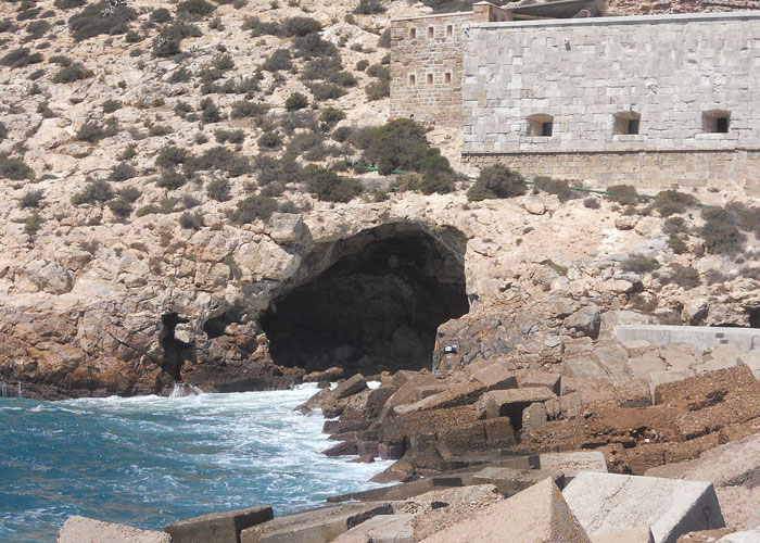 "Hoy aprendí" :35 datos fascinantes que la gente no aprendió en el colegio