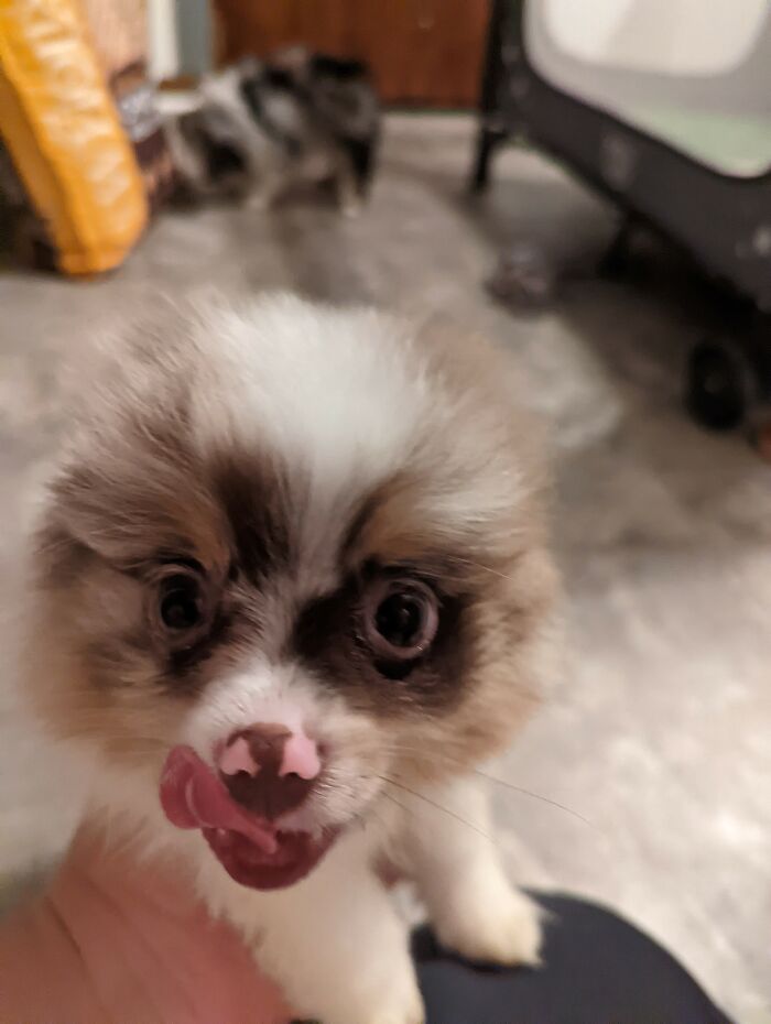 I Wish I Had Gotten In Sooner. Kylo Deserves To Make The Cut