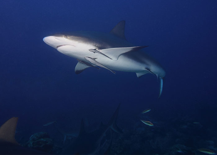 “What’s A Time Where Trusting Your Gut Quite Literally Saved Your Life?”: 30 People Share