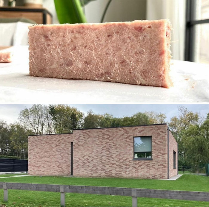 One Of These Is A Bloc Paté