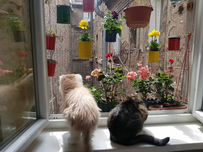 I Live In The Center Of Sarajevo, B&H, And I Don't Have An Ideal View From All The Windows. I'm Trying To Fix It