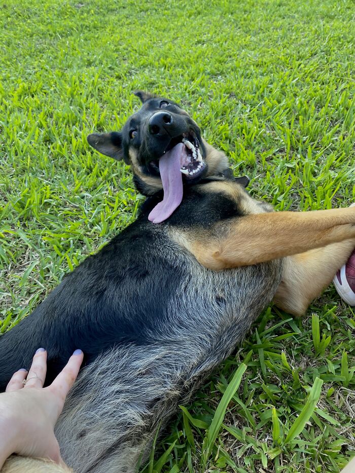 This Is Wanda, But Her Name Could Easily Be Gene Simmons