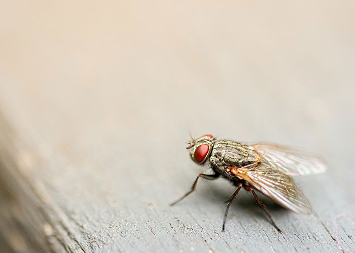 30 House Rules People Had As Kids That They Only Later Realized Not All Households Followed