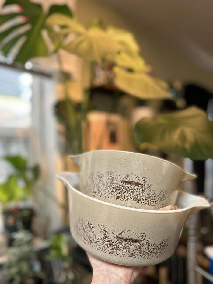 I Was Thrifting At Goodwill Today And Was Looking At The Baking Items And Almost Missed These Hidden On The Bottom Shelf! My Husband Had Just Walked Up To Me And Had Thought I'd Seen A Ghost I Was So Shocked! So Excited! 😍 I Found Them At Bellingham Wa Goodwill